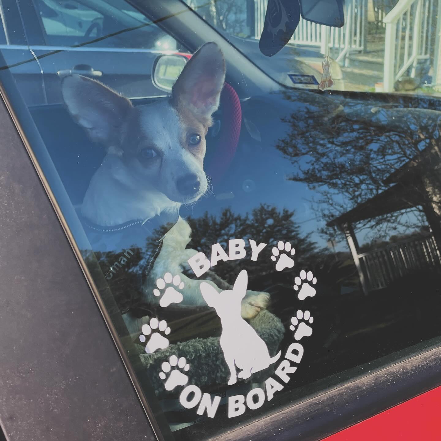 ALL BREEDS Baby on Board Silhouette Decal - modifiedsix