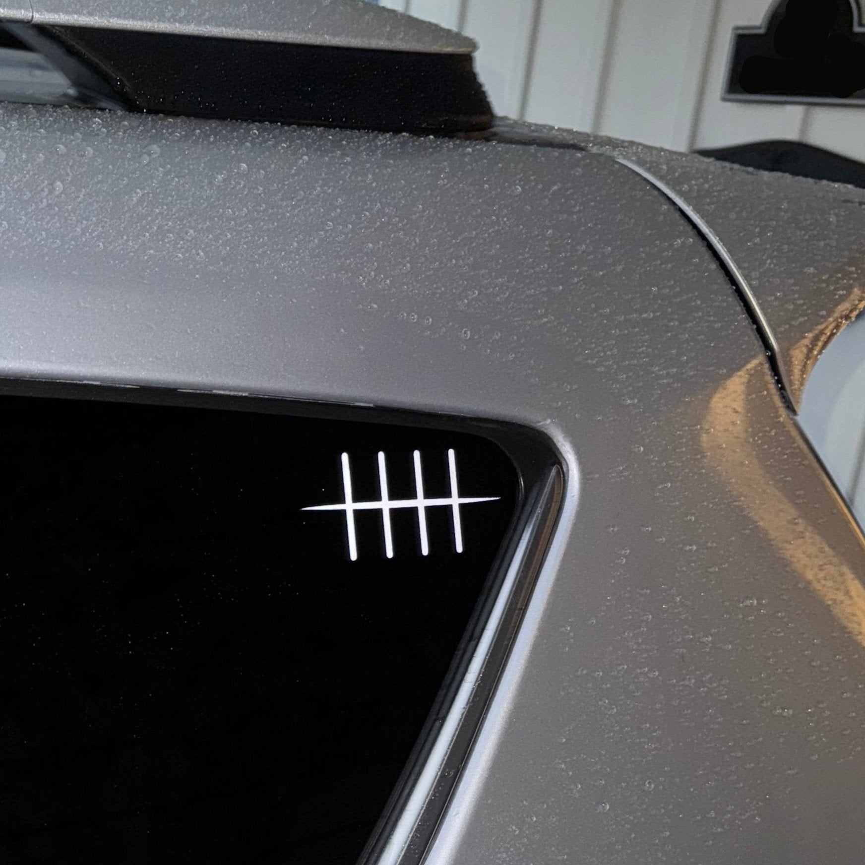 Hidden Rain Village Decal - modifiedsix